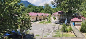 Hamzalli Garden Gabala